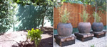 Before and After photos