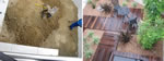 Before and After photos