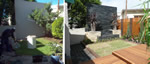Before and After photos