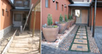 Before and After photos