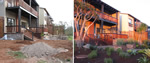 Before and After photos