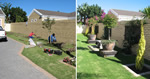 Before and After photos