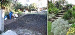 Before and After photos